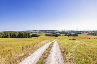 Scenic rural landscape view with a dirt road leading through open fields. Several wind turbines