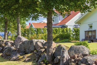 Peaceful residential scene featuring wooden houses with by large rocks and tree trunks in the