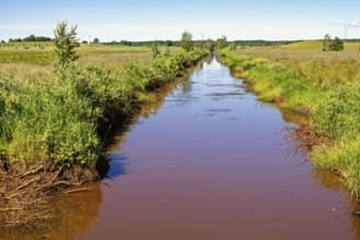 Straight narrow water channel running through a grassy rural field bordered by tall lush green