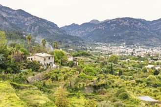 Serene rural landscape featuring a traditional stone house surrounded by vibrant greenery and