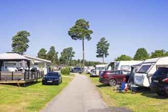 Family friendly campground featuring several caravans, parked cars along a paved pathway in a
