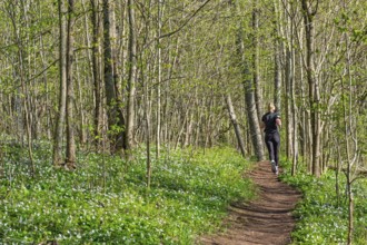 Peaceful forest scene with a young woman jogging along a path surrounded by fresh spring greenery