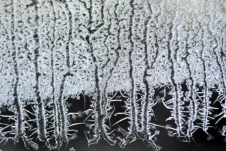 Frost formation on a living room window, Region of la Mauricie, Province of Quebec, Canada
