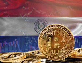 Investors in cryptocurrency and Blockchain Technology in Paraguay, Concept. Bitcoin with Paraguay
