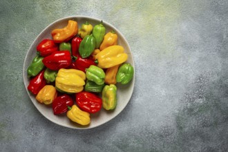 Habanero pepper, color mix, raw, vegetable, top view, no people