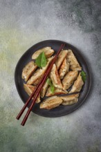 Japanese fried dumplings, gyoza, sesame seeds, top view, no people
