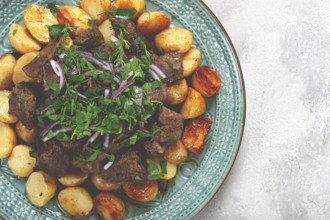 Kuyrdak, roast offal with potatoes and fresh herbs, homemade in Kazakh, no people