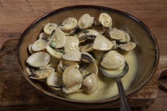 Vongole clams, in cream sauce, homemade, top view, no people