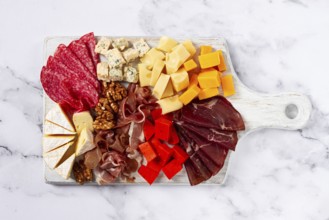 Assortment of cheese meat cuts, on a plate, top view, no people