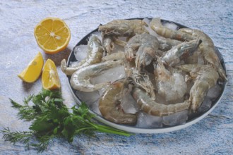 Fresh raw shrimp, spread on ice with lemon and cilantro slices on a marble surface, ready to cook,