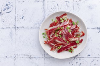 Ham of duck breast, dried duck fillet, with microgreens, plate, on a tiled table