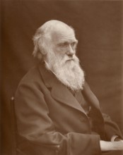 Charles Robert Darwin (12 February 1809 in Shrewsbury - 19 April 1882) . British natural scientist.