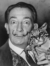 Salvador Dali with his cat Ocelot, 1965 Salvador Dali is a Spanish artist and one of the main