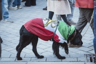 A dog wrapped in a flag of Iran during the Pahlavi period during the demonstration by exiled