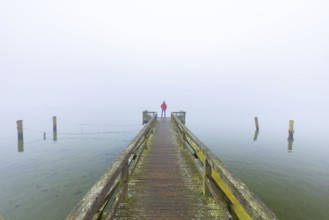 Lonely man staring in the mist over Lake Ratzeburg, Ratzeburger See from wooden jetty, Lauenburg