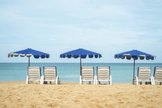 A serene beach scene shows neatly aligned lounge chairs beneath blue umbrellas facing a tranquil