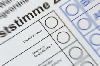 Symbolic ballot paper with the FIREWALL option in the place where there are otherwise parties
