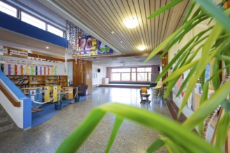 A bright school corridor with works of art, bookshelves and numerous plants in front of large