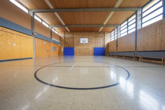Empty sports hall with wooden paneling and basketball hoop, illuminated by large windows,