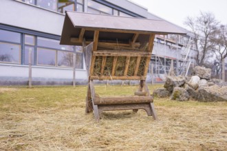 Wood hay rack on a hay covered meadow next to stones, Schlehengäu Grund Schule Gechingen, Calw