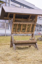 Wooden hay rack stands in a meadow with some haystalks, Schlehengäu Grund Schule Gechingen, Calw