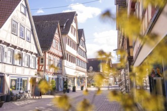 Traditional street with half-timbered houses, blurred flowers in the foreground and sky, Calw