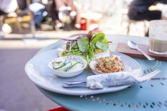 Fresh meal with salad, guacamole and quinoa on an outdoor table, Calw, Calw district, Germany