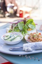 Fresh lunch with salad, quinoa and cucumber on an outdoor blue plate, Calw, Calw district, Germany