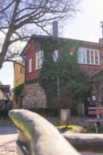 Cosy half-timbered house with ivy surrounded by trees on a sunny day, Calw, Calw district, Germany