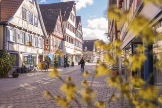 Man walks through a quiet street with traditional half-timbered houses and flowery foreground,