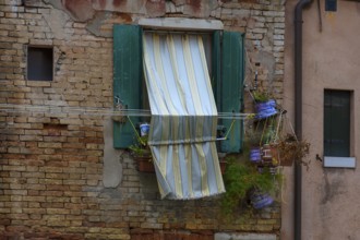 Window with flowers and curtain of a residential building in the old town, Venice, Veneto, Italy