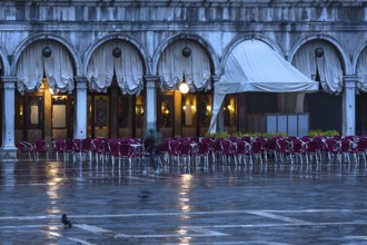 Historic Caffé Florian early in the morning, empty St. Mark's Square when it rains, Venice, Veneto,