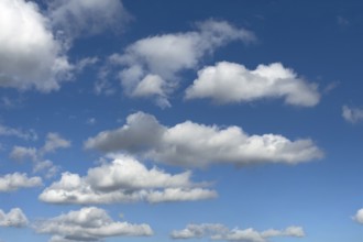 In the upper half of the image, medium-height white clouds Cumulus fractus torn ragged cluster