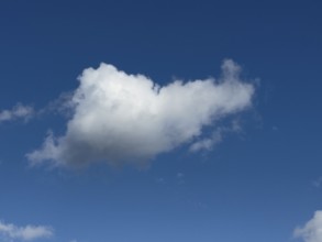 Single white cloud Cumulus fractus torn ragged cluster cloud without sharp lower limit on blue sky,