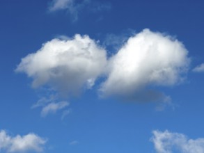 Two medium-high white clouds Cumulus fractus torn ragged cluster clouds without a sharp lower limit