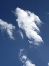White torn frayed cloud Cumulus fractus cloud image like mythical creature with angel wings,