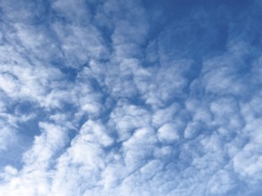 Medium-height white clouds of Altocumulus in blue sky, international