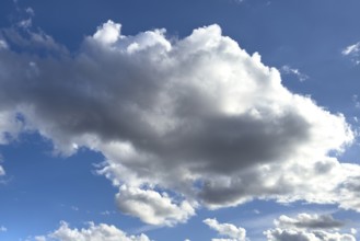 Large stratocumulus cloud on Stratocumulus against a blue sky, international