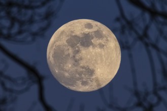 The full moon in March is also called worm moon because it reminds us that the frost is softening