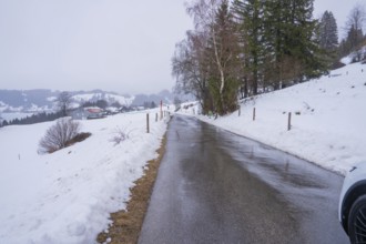 Snowy street with trees on the sides and quiet winter atmosphere, specialist clinic for