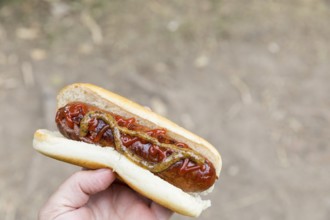 Freshly prepared hot dog with elk sausage, Virum Älkpark near Vimmerby, Kalmar län, Sweden