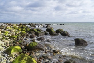 Foundlings on Gakower Ufer, Sassnitz, Jasmund National Park, Rügen, island, Baltic Sea,