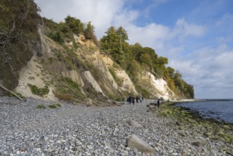 Chalk coast, cliffs, stones on the shore, Jasmund National Park, Sassnitz, Rügen, island, Baltic
