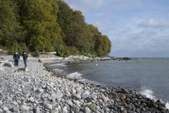 Coast near Sassnitz, stones on the shore, Jasmund National Park, Rügen, island, Baltic Sea,