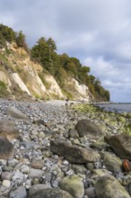Chalk coast, cliffs, stones on the shore, Jasmund National Park, Sassnitz, Rügen, island, Baltic