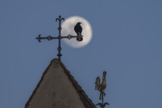 Corvus corone Corvus corone sits on a cross above the roof. The full moon shines in the sky behind