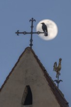 Corvus corone Corvus corone sits on a cross above the roof. The full moon shines in the sky behind