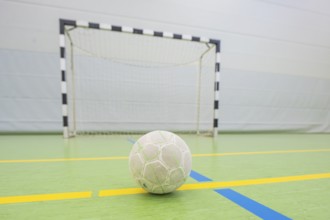 A handball on a yellow stripe in front of a goal on a pitch, handball, Calw, Germany