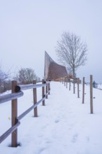 Snowy trail with wooden fence and lonely tree in winter, Sinnraum, Oberreute, Allgäu, Bavaria,