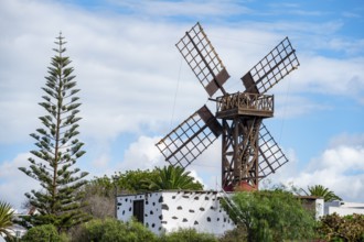 Historic windmill, Teguise, Lanzarote, Canary Islands, Spain